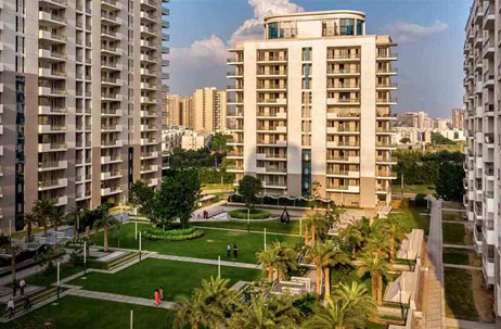 dlf the developers